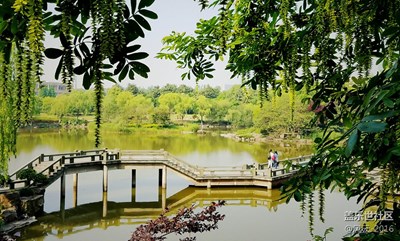 花開時節(jié)，瞬間美好