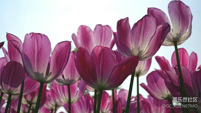 唐山世園會(huì)