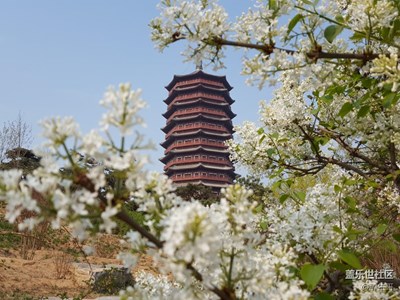 清明-北京園博園