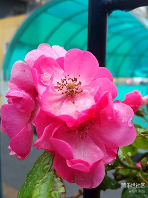 留住美好一瞬間