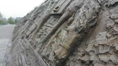 選擇性對焦
