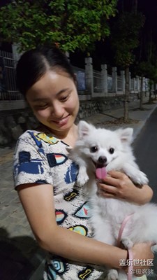 【可愛(ài)的它】+ 桐城 +小新