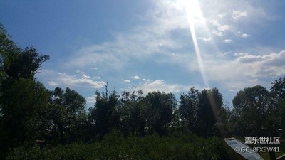 迎著陽光，放飛心情