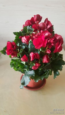 花