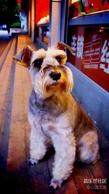 【可愛的它】北京，等麻麻