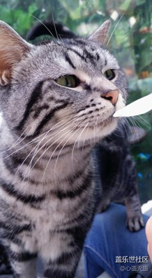 【可愛的它】北京，吃是一種信仰