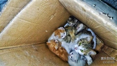 【可愛的它】北京，偉大的母愛