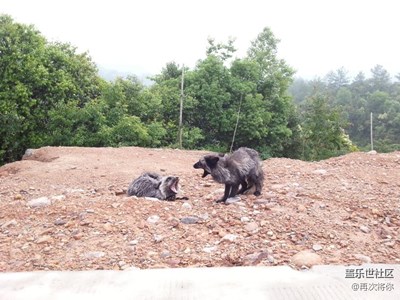 【可愛(ài)的它】+全南+為生存爭(zhēng)斗