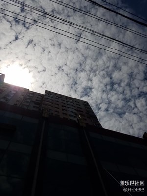 自動與專業(yè)對比