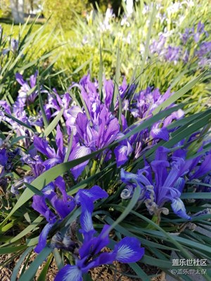 公園里的
