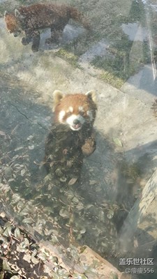 【可愛的它】+淮安+還記得小浣熊方便面嗎