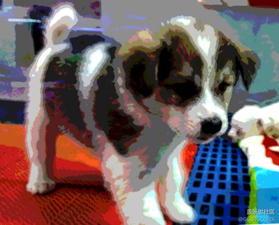 【可愛的它】+成都+我是土豪