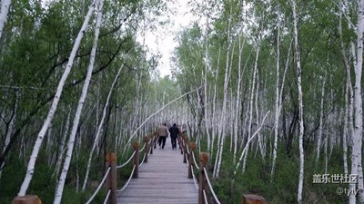 美麗富饒的北方濕地