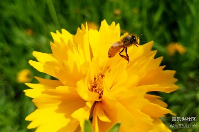 大自然的搬運(yùn)工