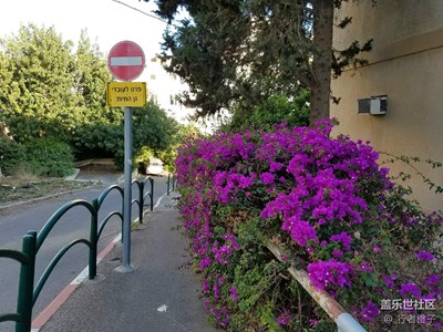 與S7行走在以色列