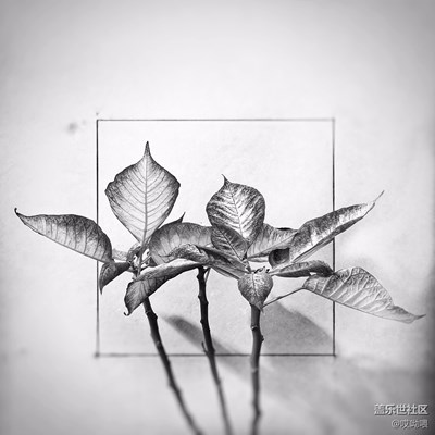 擁有S7確卻無法把它發(fā)揮極致