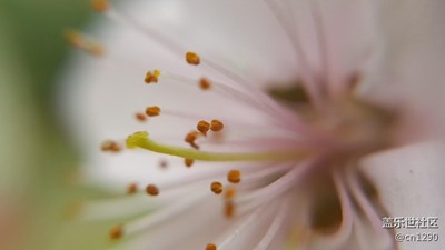 自已拍著玩的 不要拍我哦