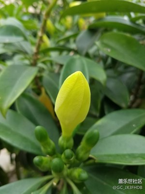 美不勝收，有驚喜，妹子不要看  