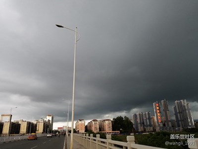 一花 一城一世界