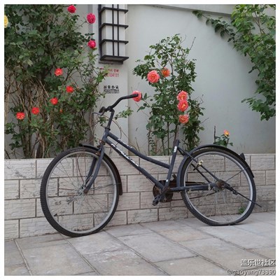 北京隨拍，正過(guò)來(lái)