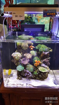 想買(mǎi)，有些貴