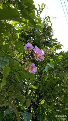 這鬼天氣，可真不是一般的熱啊