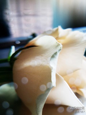 三星S7水下攝影