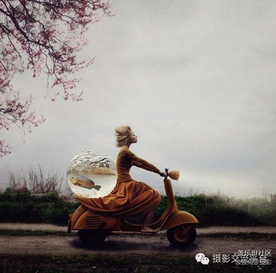 簽到貼