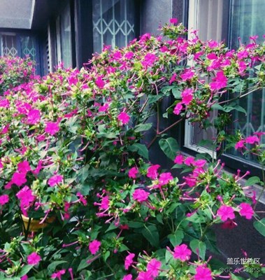 屋前的生活，屋后的風(fēng)景