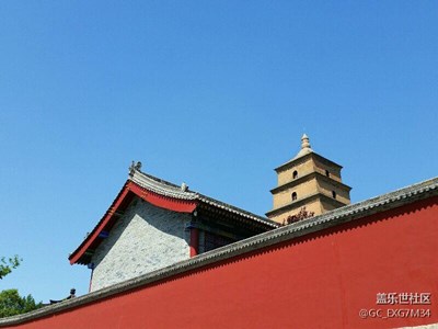 歲月，靜好