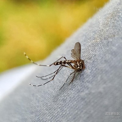 那年陪伴我的它(N9200)