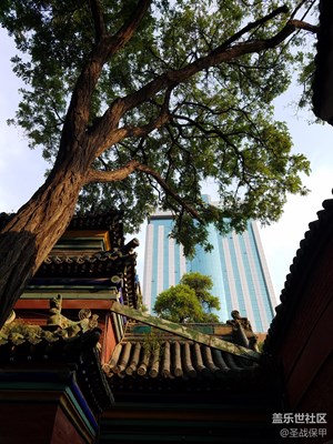 呂天仙祠—純陽宮