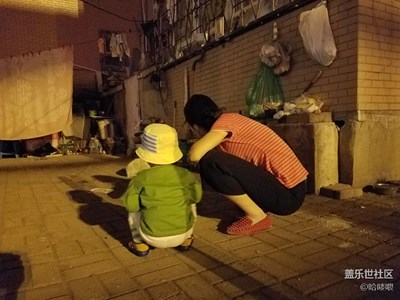 拔草喂貓，S7拍夜景，果然強大。