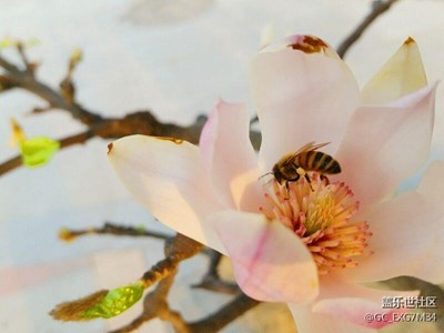 花季，靜好