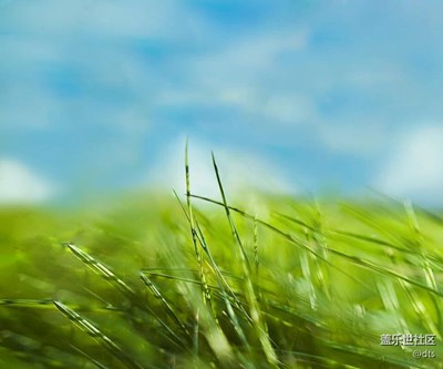 自認(rèn)為不錯(cuò)的風(fēng)景照