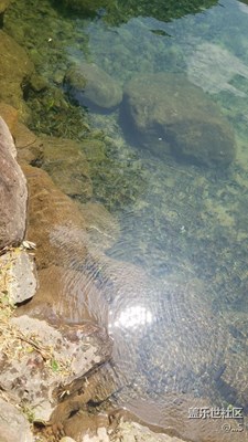 旅行隨拍，以及沒事下個水?。ㄏ滤曨l已更新）