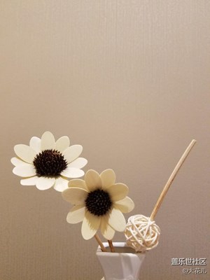 愛不一樣，歲月靜好