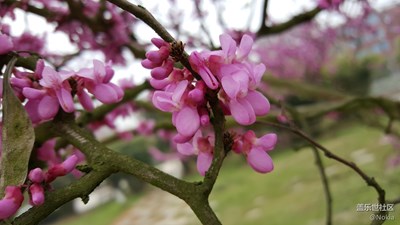 畢業(yè)季的校園 歲月靜好