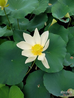 廈門(mén)南普陀