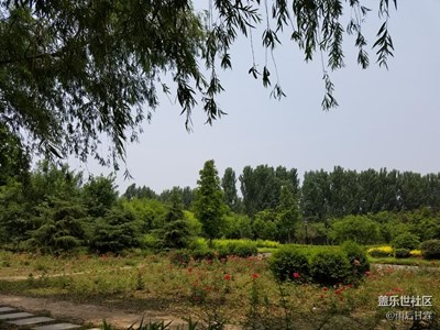 體驗(yàn)了一把河溝撈魚(yú)