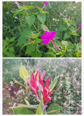 隨拍