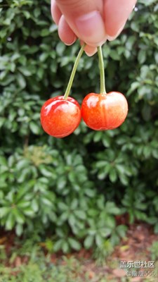 你是人間的四月天