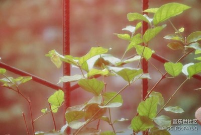 好想到窗外去看看