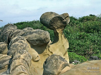 隨團(tuán)游只給半小時游覽.