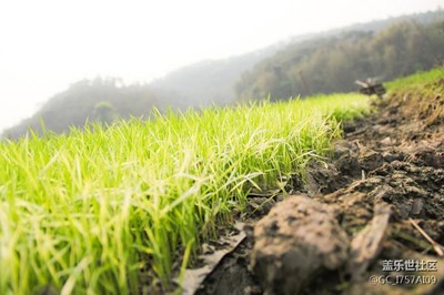 愿心情如午后陽(yáng)光般燦爛