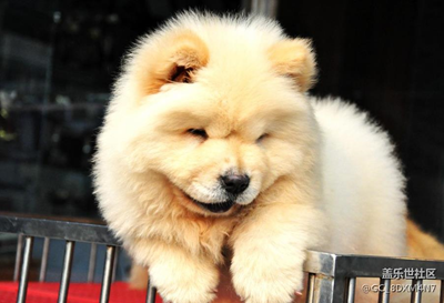 誰(shuí)來(lái)抱抱我