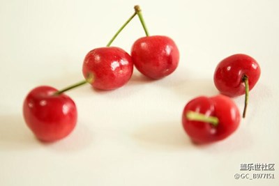 櫻桃Cerasus pseudoce