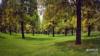 讓心跳慢一點；讓陽光暖一點。