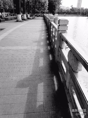 路邊隨拍