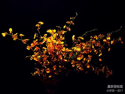 8原創(chuàng)攝影，我只是可憐的三星迷，想要一部S7